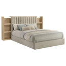 Arielle - Bookcase Panel Storage Bed