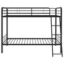 Carson - Metal Bunk Bed