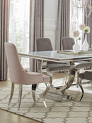 Antoine - Velvet Upholstered Dining Side Chair (Set of 2)