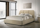 Mokena - Upholstered Platform Bed