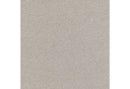 D1321 - Dining Chair - Light Grey