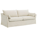 Shane - Sofa With 2 Pillows - Beige Linen