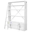 Cargo - Bookshelf & Ladder