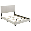 Dorian - Upholstered Panel Bed