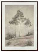 Fenngrove - Wall Art - Brown / Beige
