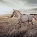 Errolville - Wall Art - Multi